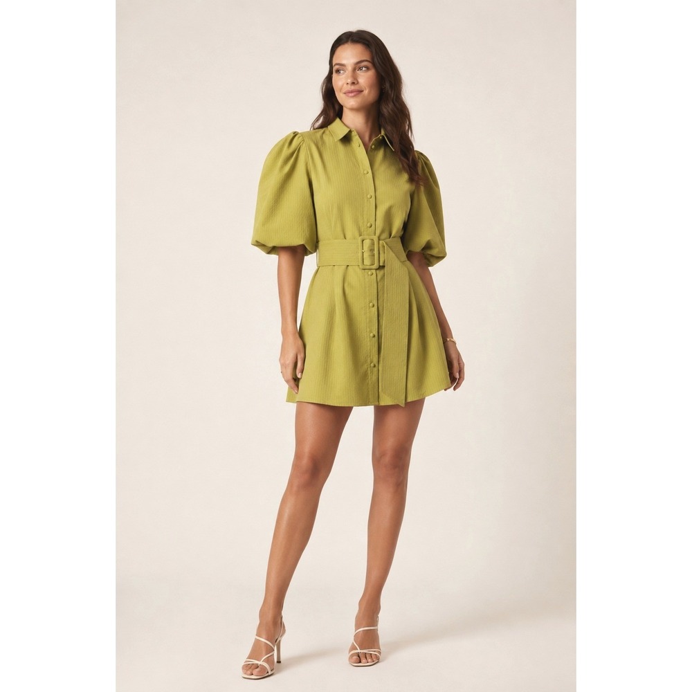 Zara Volominous Sleeve Belted Button Down Mini Shirt Dress Green Medium